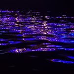 Reflections of Zanzibar